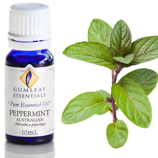 Peppermint Australian Pure Essential Oil 10ml