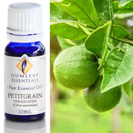 Petitgrain Paraguayan Pure Essential Oil 10ml