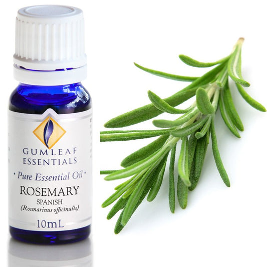 Rosemary Pure Essential Oil 10ml