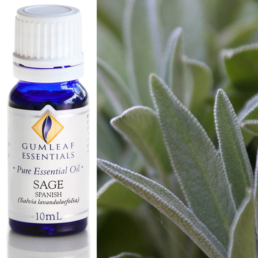 Sage Spanish Pure Essential Oil 10ml