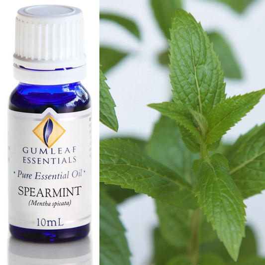 Spearmint Pure Essential Oil 10ml