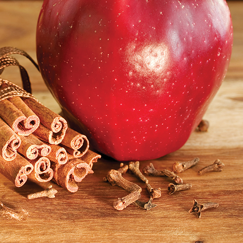 Spiced Apple Soy Wax Melts