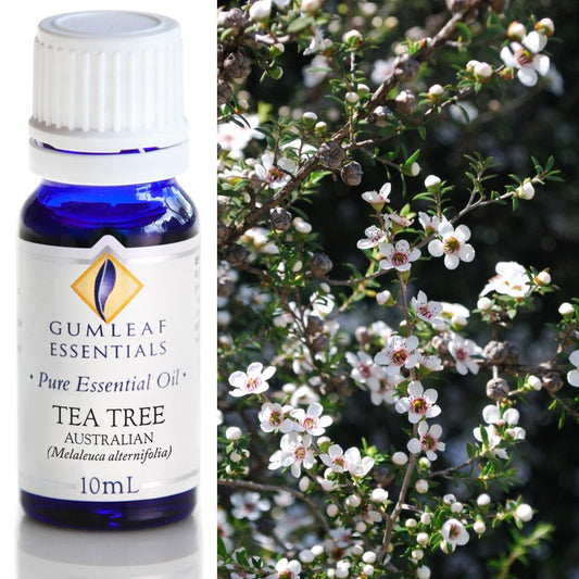 Tea Tree Australian Pure Essential Oil 10ml
