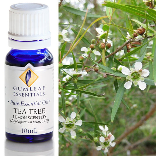 Tea Tree Lemon Scented Pure Essential Oil 10ml