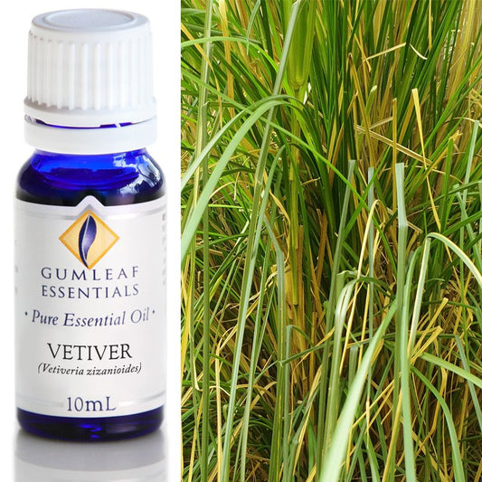 Vetiver Pure Essential Oil 10ml