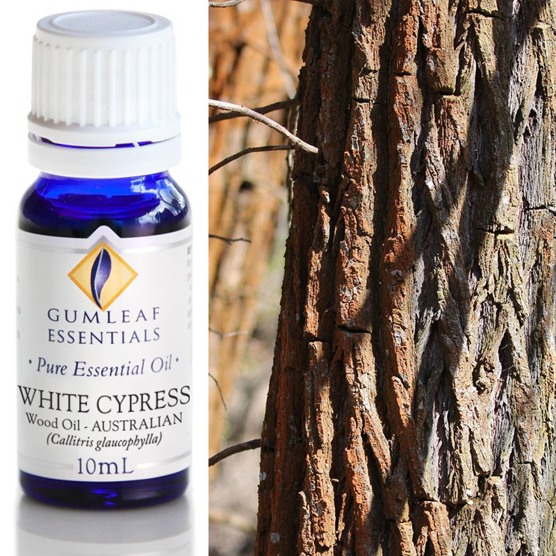 White Cypress Wood Pure Essential Oil 10ml