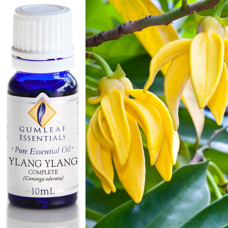Ylang Ylang Complete Pure Essential Oil 10ml